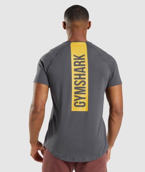 Men's Gymshark Bold T-Shirts Dark Grey | CA 3AD1N7